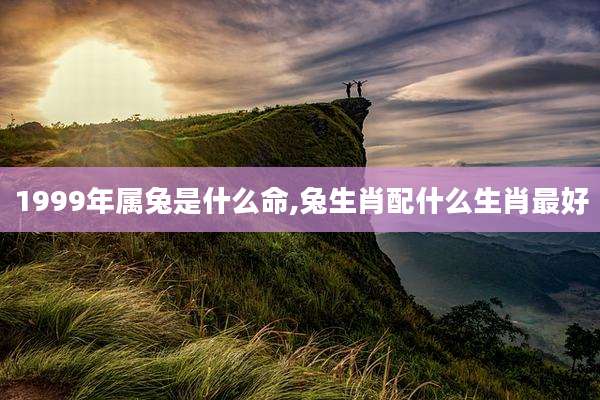 1999年属兔是什么命,兔生肖配什么生肖最好