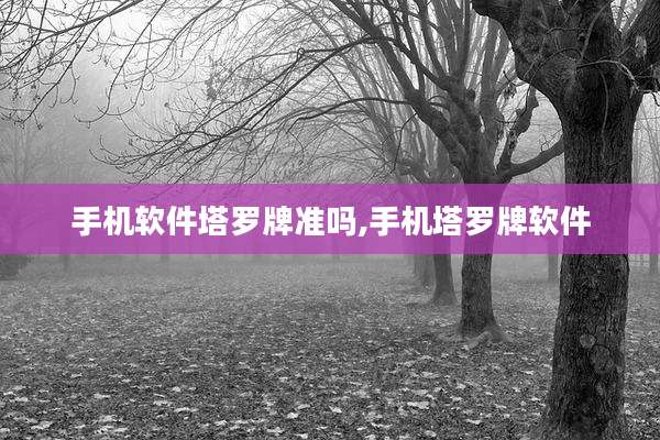 手机软件塔罗牌准吗,手机塔罗牌软件