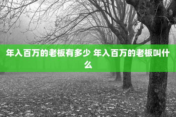 年入百万的老板有多少 年入百万的老板叫什么