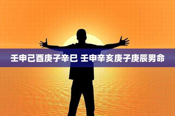 壬申己酉庚子辛巳 壬申辛亥庚子庚辰男命