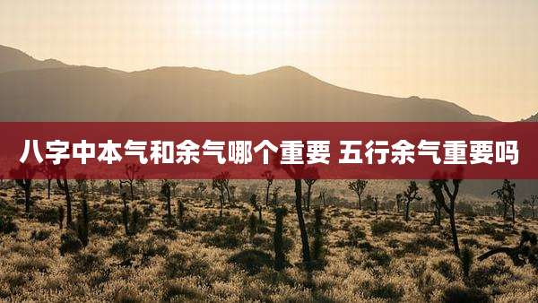 八字中本气和余气哪个重要 五行余气重要吗
