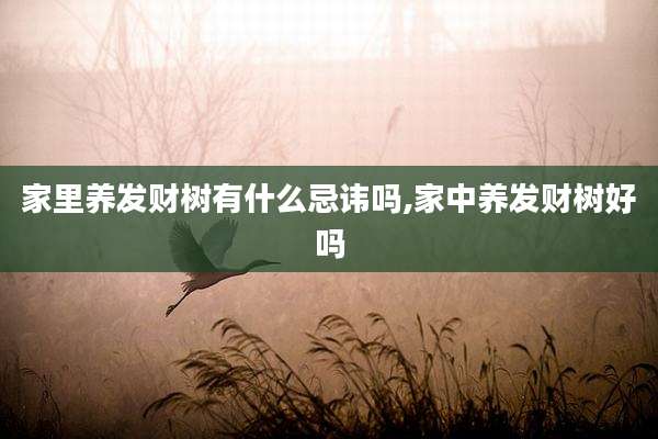 家里养发财树有什么忌讳吗,家中养发财树好吗