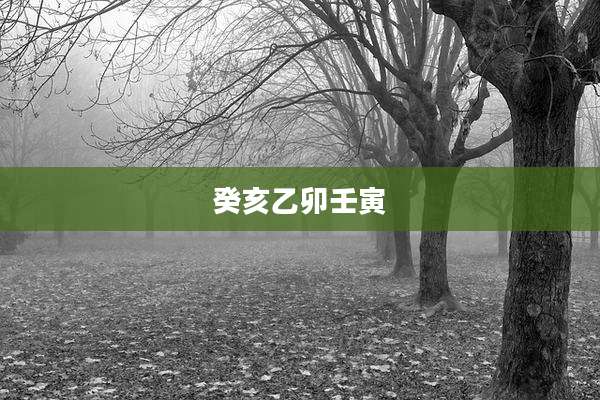 癸亥乙卯壬寅
