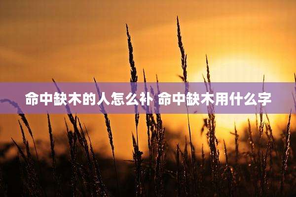 命中缺木的人怎么补 命中缺木用什么字
