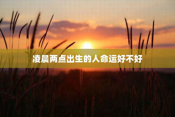 凌晨两点出生的人命运好不好