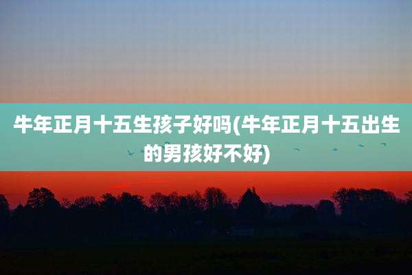 牛年正月十五生孩子好吗(牛年正月十五出生的男孩好不好)