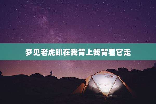 梦见老虎趴在我背上我背着它走
