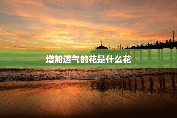 增加运气的花是什么花