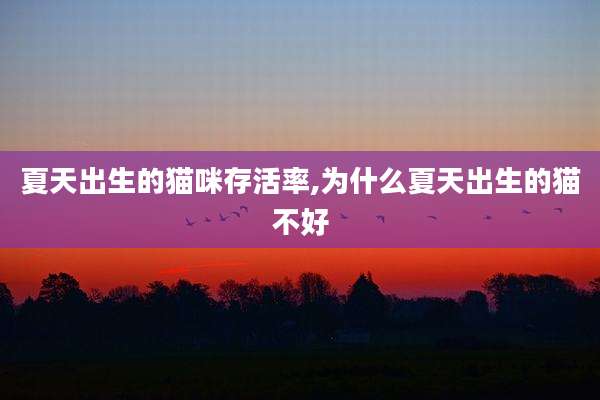 夏天出生的猫咪存活率,为什么夏天出生的猫不好