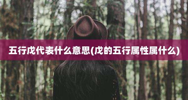 五行戊代表什么意思(戊的五行属性属什么)