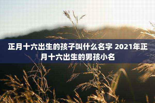 正月十六出生的孩子叫什么名字 2021年正月十六出生的男孩小名