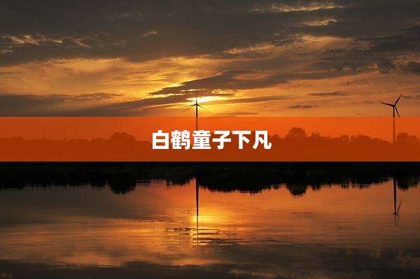 白鹤童子下凡