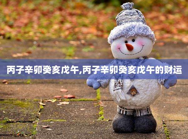 丙子辛卯癸亥戊午,丙子辛卯癸亥戊午的财运