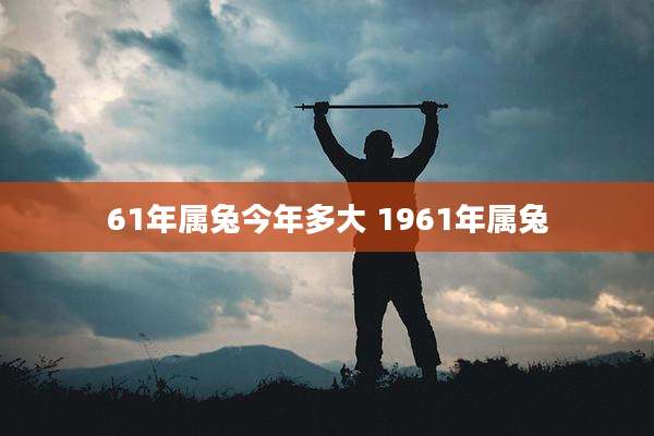 61年属兔今年多大 1961年属兔