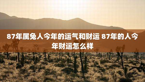 87年属兔人今年的运气和财运 87年的人今年财运怎么样