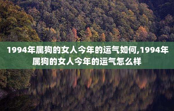1994年属狗的女人今年的运气如何,1994年属狗的女人今年的运气怎么样