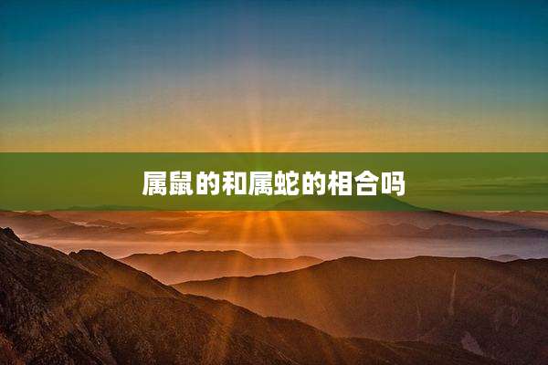 属鼠的和属蛇的相合吗