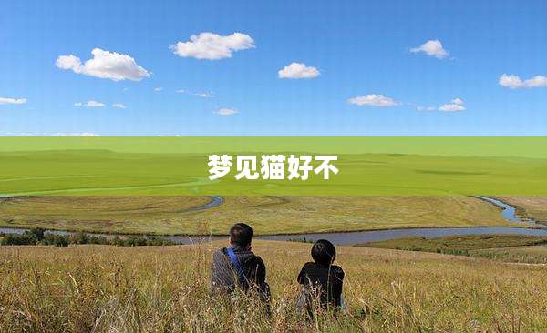 梦见猫好不