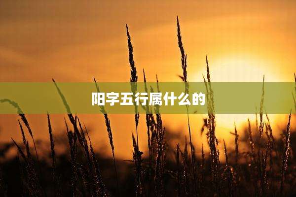 阳字五行属什么的