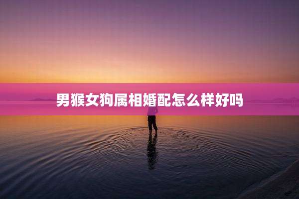 男猴女狗属相婚配怎么样好吗