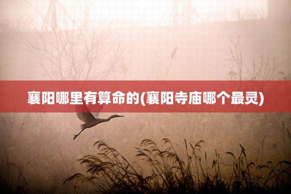 襄阳哪里有算命的(襄阳寺庙哪个最灵)