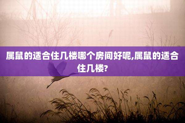 属鼠的适合住几楼哪个房间好呢,属鼠的适合住几楼?