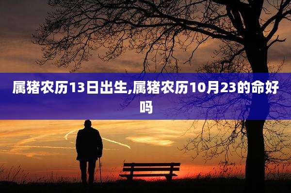 属猪农历13日出生,属猪农历10月23的命好吗
