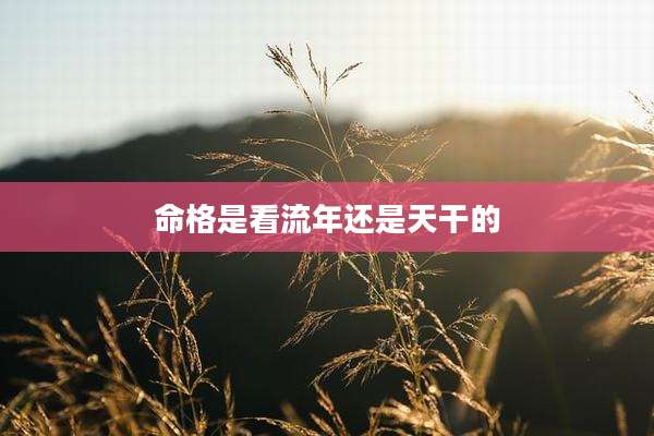 命格是看流年还是天干的