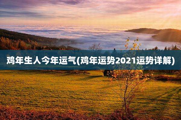 鸡年生人今年运气(鸡年运势2021运势详解)