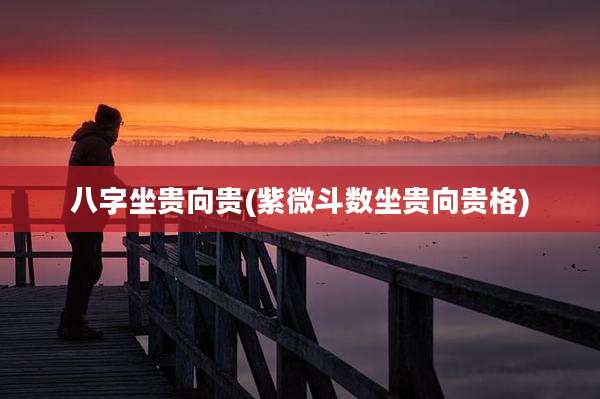 八字坐贵向贵(紫微斗数坐贵向贵格)