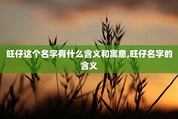 旺仔这个名字有什么含义和寓意,旺仔名字的含义