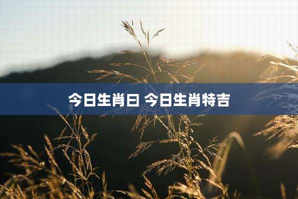 今日生肖曰 今日生肖特吉