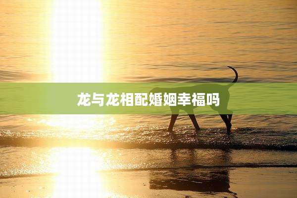 龙与龙相配婚姻幸福吗