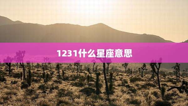 1231什么星座意思