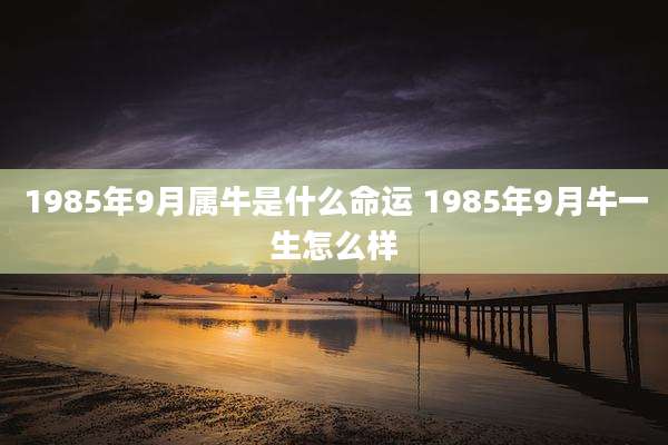 1985年9月属牛是什么命运 1985年9月牛一生怎么样