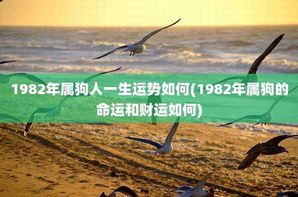 1982年属狗人一生运势如何(1982年属狗的命运和财运如何)