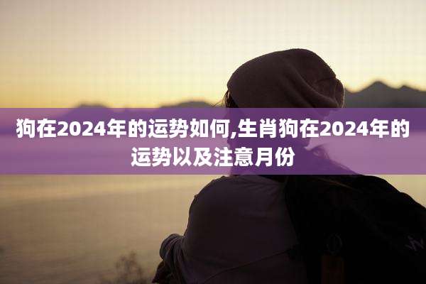 狗在2024年的运势如何,生肖狗在2024年的运势以及注意月份