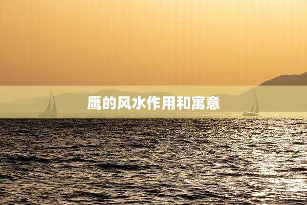 鹰的风水作用和寓意