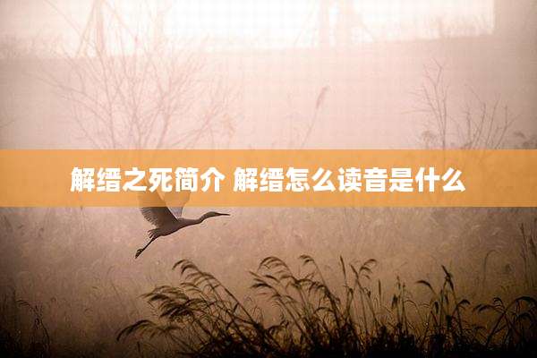解缙之死简介 解缙怎么读音是什么