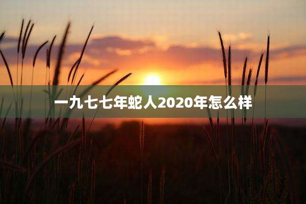 一九七七年蛇人2020年怎么样