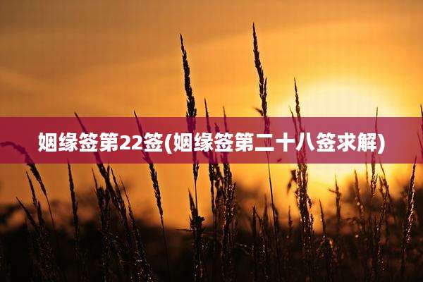 姻缘签第22签(姻缘签第二十八签求解)