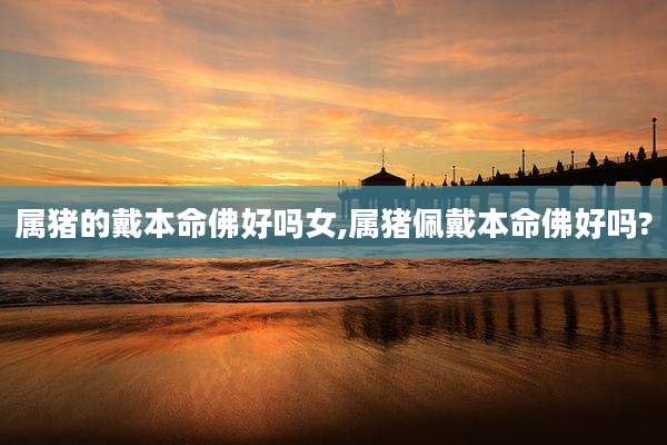 属猪的戴本命佛好吗女,属猪佩戴本命佛好吗?
