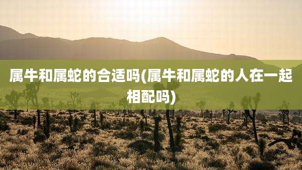 属牛和属蛇的合适吗(属牛和属蛇的人在一起相配吗)