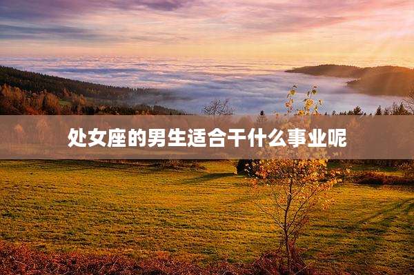处女座的男生适合干什么事业呢