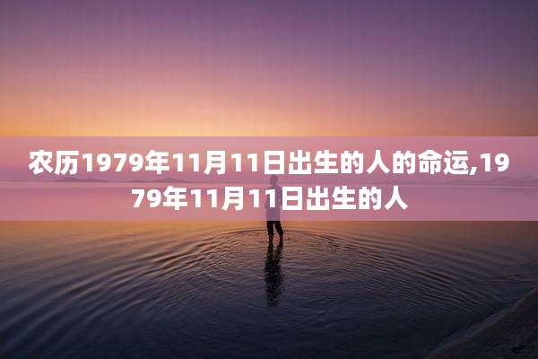 农历1979年11月11日出生的人的命运,1979年11月11日出生的人