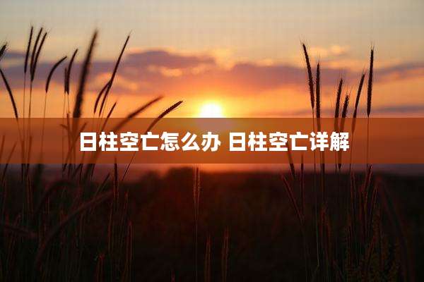 日柱空亡怎么办 日柱空亡详解
