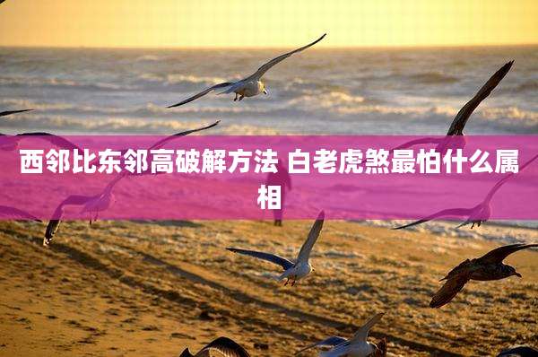西邻比东邻高破解方法 白老虎煞最怕什么属相