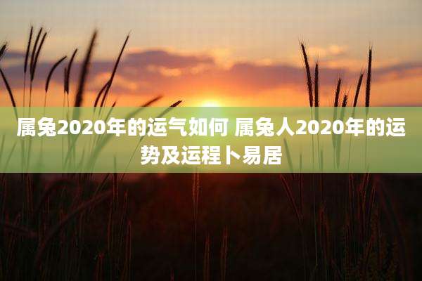 属兔2020年的运气如何 属兔人2020年的运势及运程卜易居