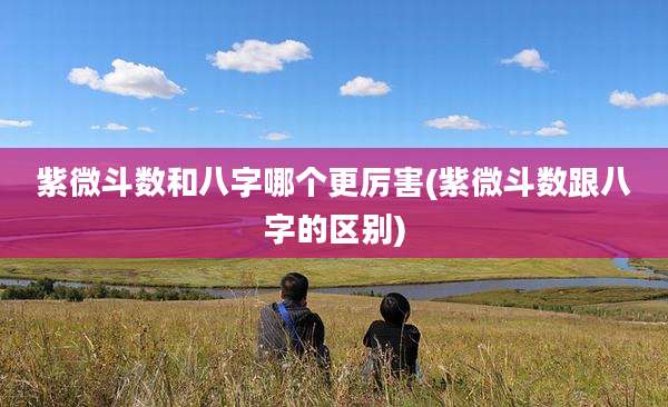 紫微斗数和八字哪个更厉害(紫微斗数跟八字的区别)