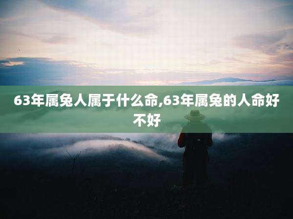 63年属兔人属于什么命,63年属兔的人命好不好